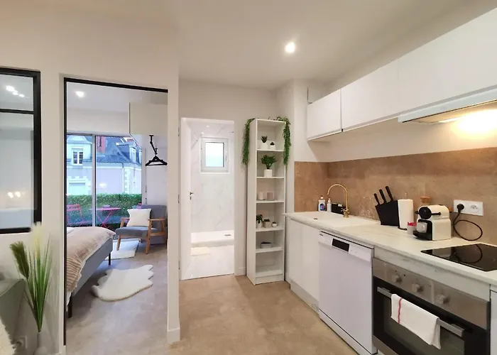 T2 Cocooning, Secteur Doutre アンジェ