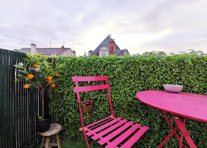 T2 Cocooning, Secteur Doutre * アンジェ